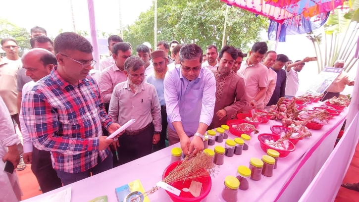 শিবগঞ্জে কৃষক প্রশিক্ষণ ও কৃষি উপকরণ বিতরণ